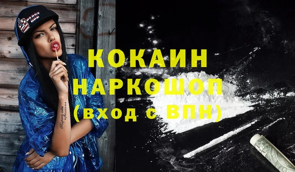 гашик Абаза