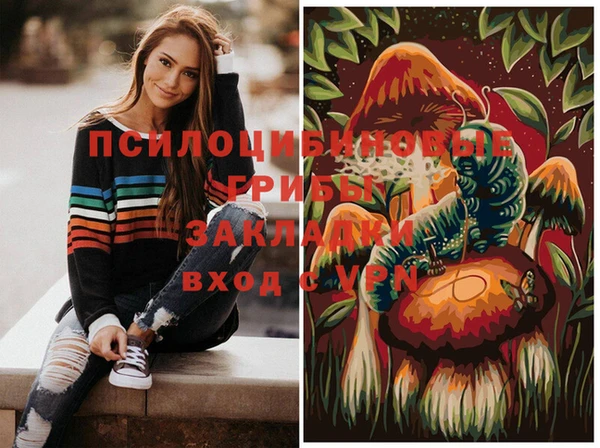 гашик Абаза