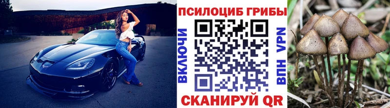 закладки Беломорск Галлюциногенные грибы мицелий